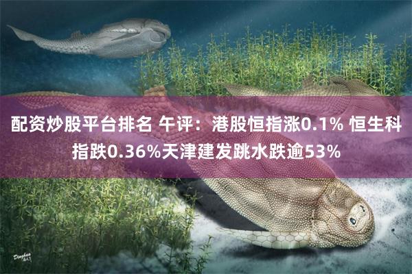 配资炒股平台排名 午评：港股恒指涨0.1% 恒生科指跌0.36%天津建发跳水跌逾53%